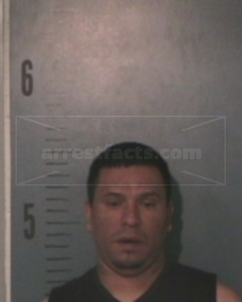 Martin Theodore Silvas