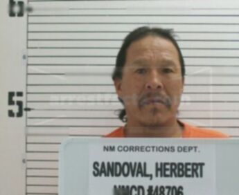 Herbert Sandoval Jr.