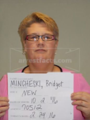 Bridget L Mincheski