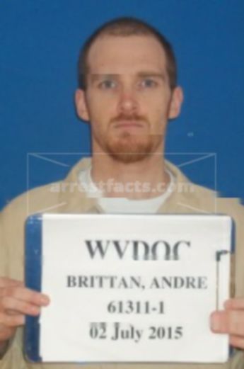 Andrew David Britton