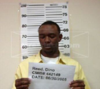 Dino Reed