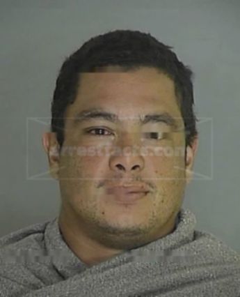 Michael Nicholas Mena
