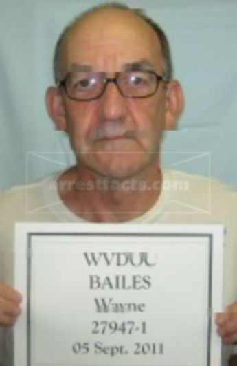 Wayne K Bailes