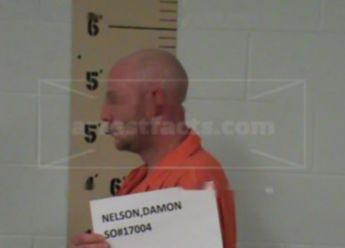 Damon John Nelson