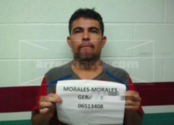 Gerardo Morales-Morales