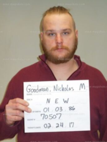 Nicholas M Goodman