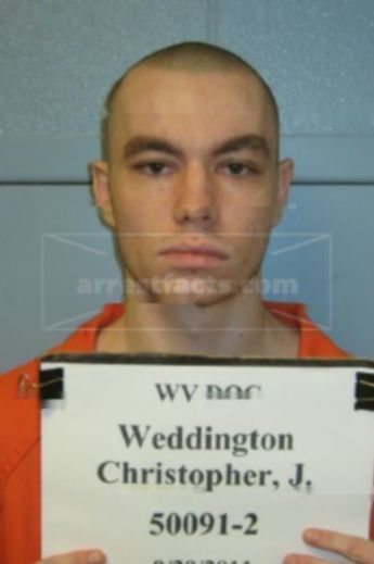 Christopher J Weddington