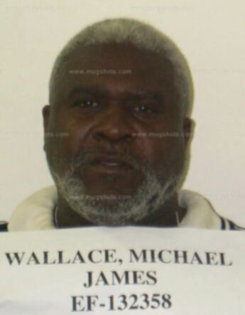 Michael J Wallace