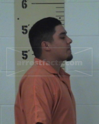 David O Ramirez
