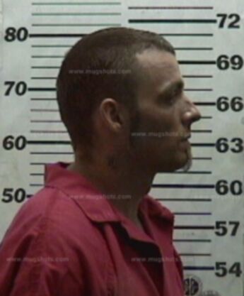 Michael Gibbs