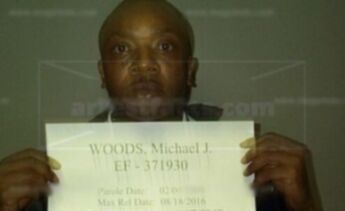 Michael J Woods