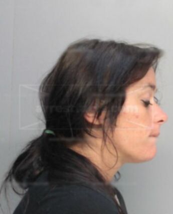 Pamela Elizabeth Andrews
