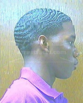 Demarcus K Homer