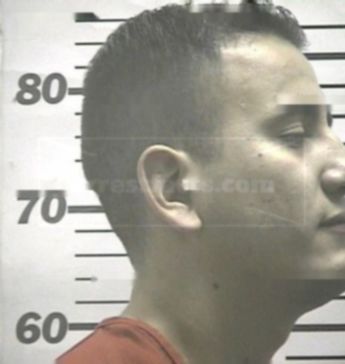 Luis J Flores