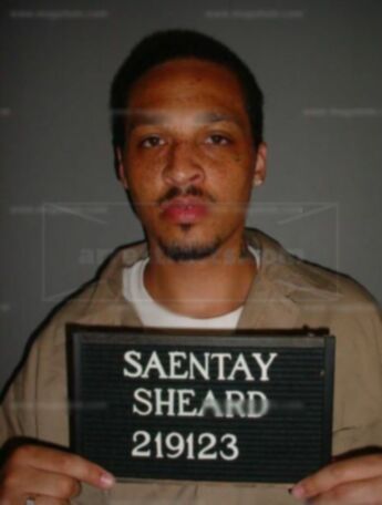 Saentay Sheard