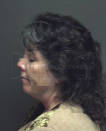 Teresa Lynne Neslein