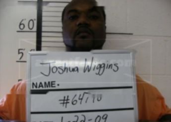 Joshua Lee Wiggins