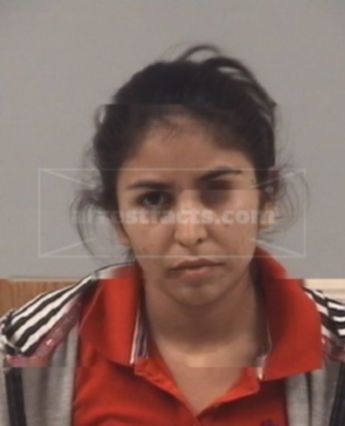 Marleny Lisseth Aguilar-Perez