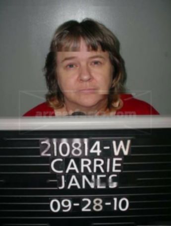 Carrie L Janes