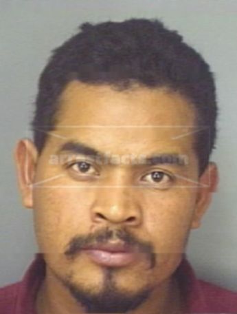 Martin Bolanos