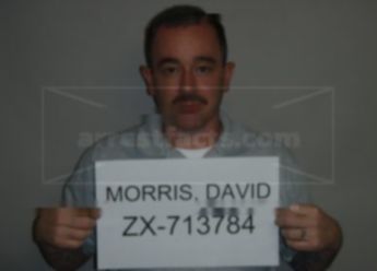 David Maynard Morris