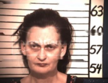 Lisa Cobb Welch