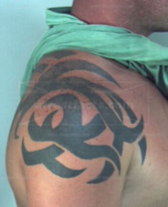 Brian Elkins