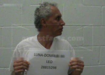 Leo Luna-Dominguez