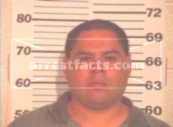 Nicolas Jr Colunga Estrada