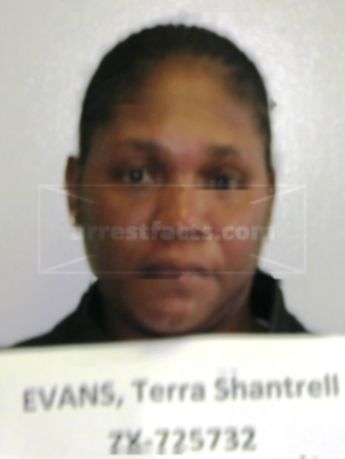 Terra Shantrell Evans