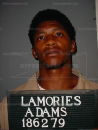 Lamories Adams