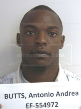 Antonio Andrea Butts