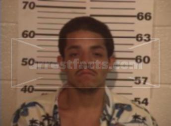 David Anthony Ramirez Rocha