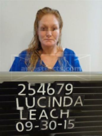 Lucinda K Leach