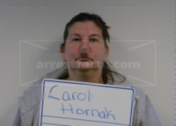 Carol A Hornak