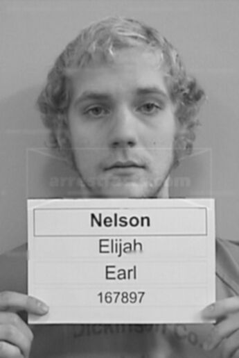 Elijah Earl Nelson
