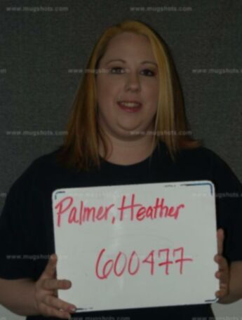 Heather R Palmer