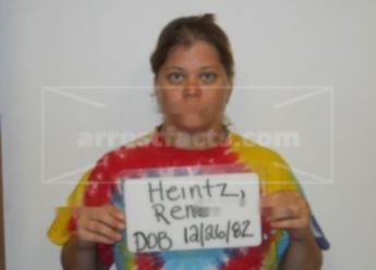 Renee L Heintz