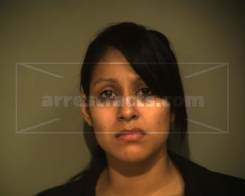 Adela Abigail Ramirez Hernandez