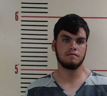 Jarel Taylor Montez