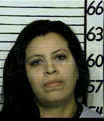 Isabel Castillo Valero
