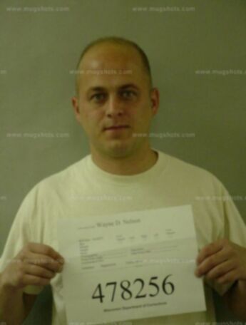 Wayne D Nelson