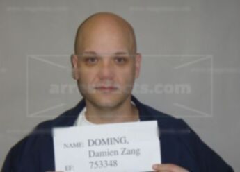 Damien Zang Doming