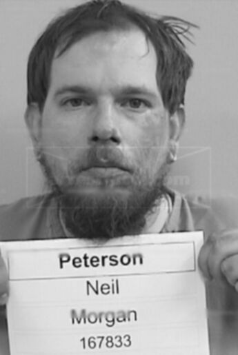 Neil Morgan Peterson