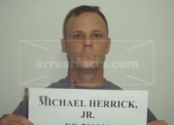 Michael Herrick Jr.