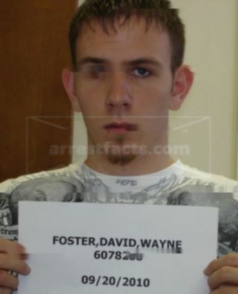 David Wayne Foster