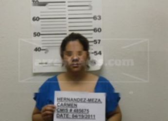 Carmen Hernandez-Meza