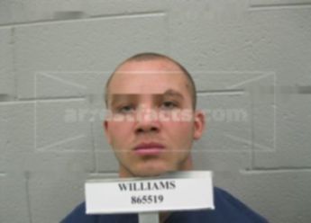 Brian Robert Williams