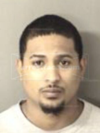 Corey Adames Hunt