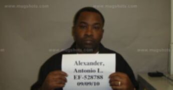 Antonio L Alexander